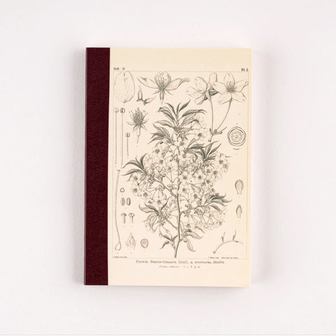 Hobonichi Multi-Color Grid Notebook - Yamazakura
