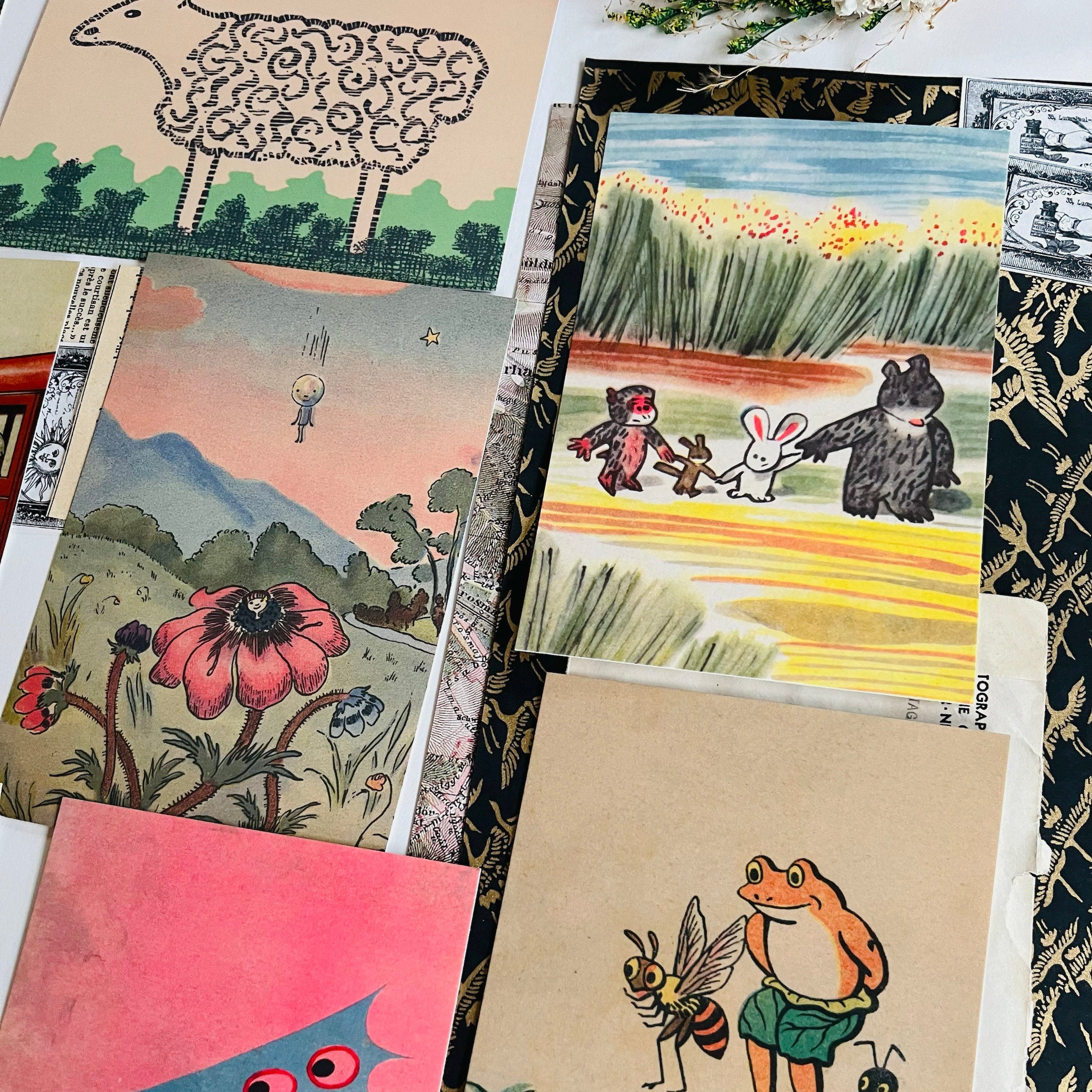Collections – niconeco zakkaya