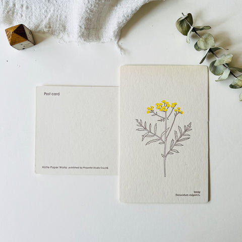Botanical Garden Letterpress Postcard - Tansy