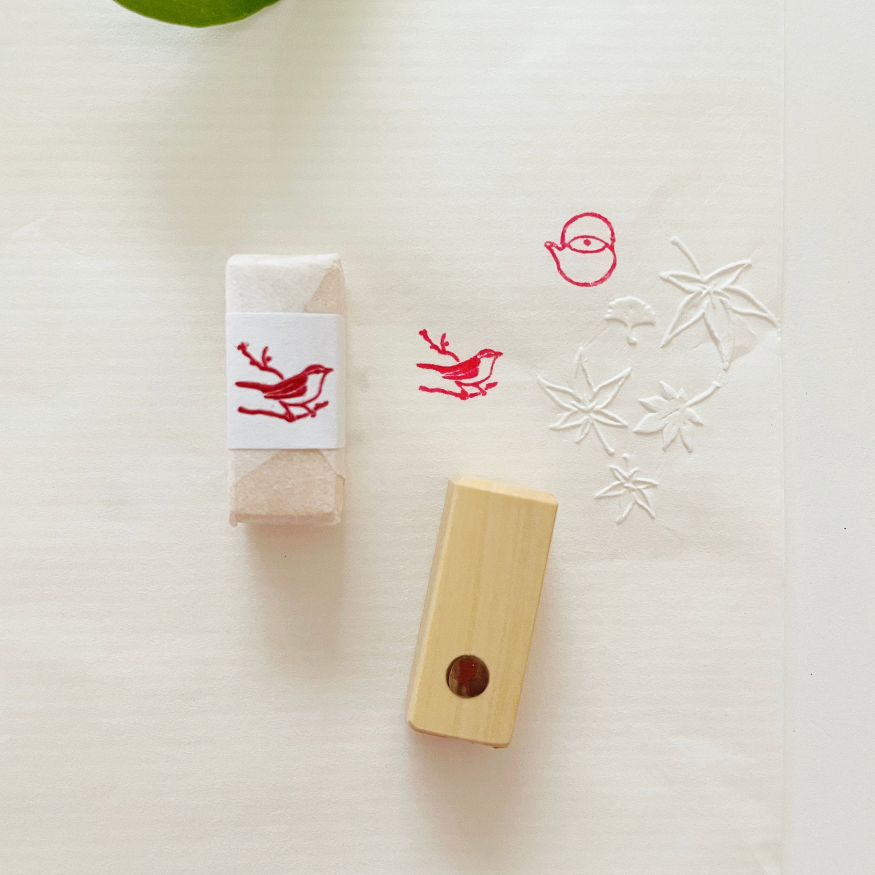 IMG_7781.jpg?v=1728682960&