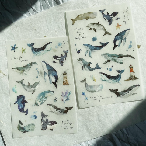 Pion Print-on Sticker - Whale