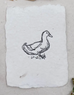 Farmette Duck Note Card